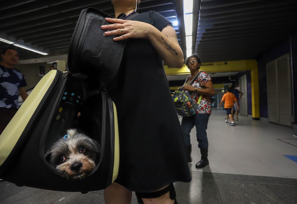 Metrô SP: Liberado animais no Metrô de São Paulo